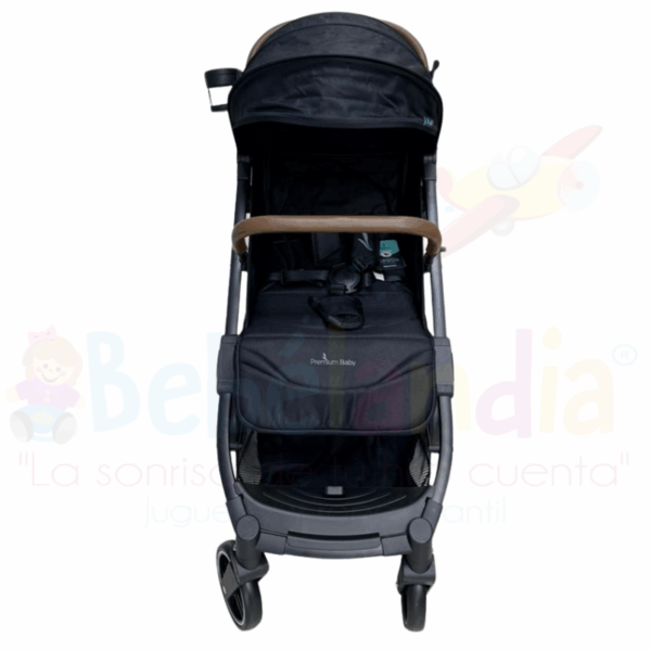 Coche Argus - Imagen 2