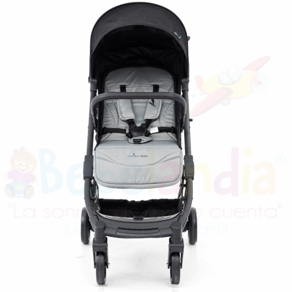 Coche Argus - Imagen 2