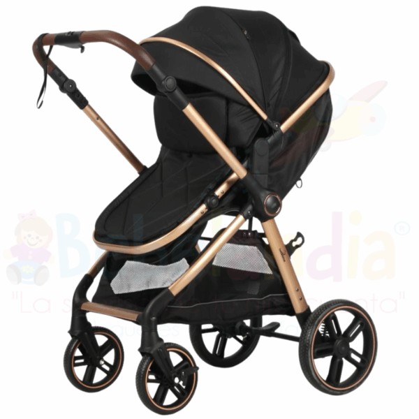 Coche Moises