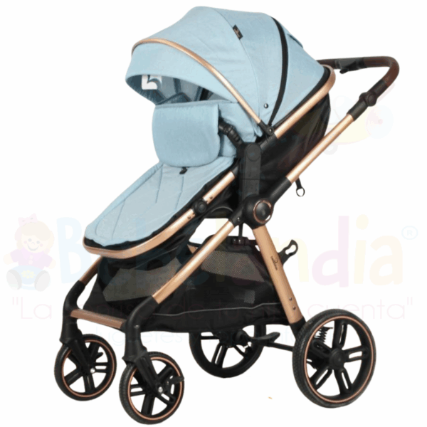 Coche Moises