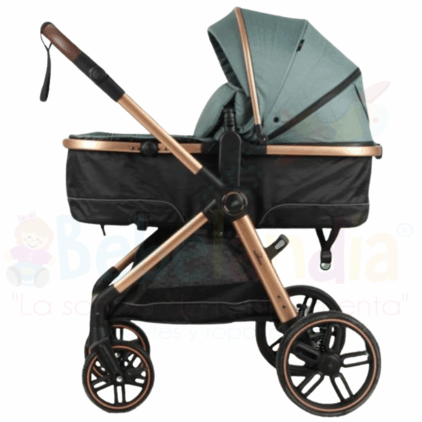 Coche Moises - Imagen 2