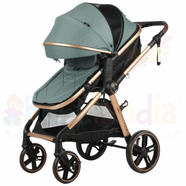 Coche Moises