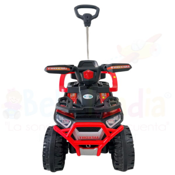 Carro de Empuje - Imagen 2