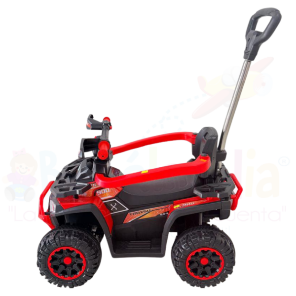 Carro de Empuje - Imagen 4