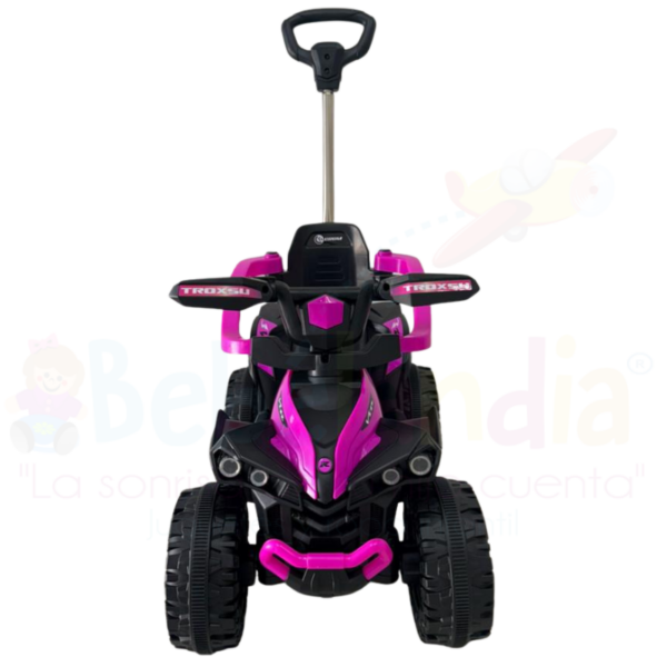 Carro de Empuje - Imagen 2