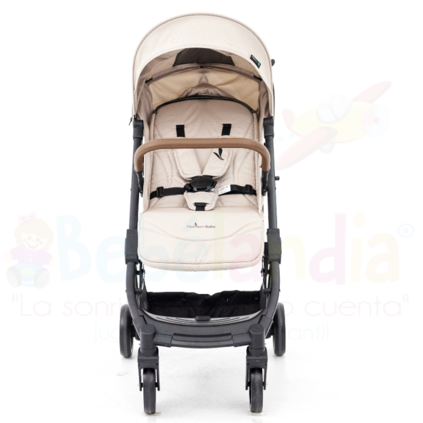 Coche Argus - Imagen 3