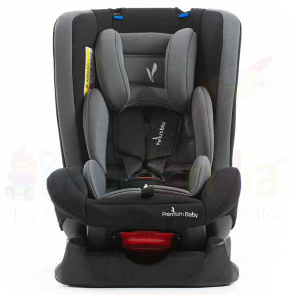 Silla de Carro Marsella - Imagen 2