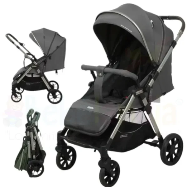 Coche Reversible