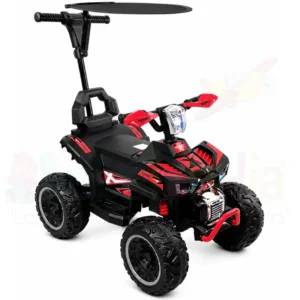 Carro de Empuje 3 en 1 Recargable