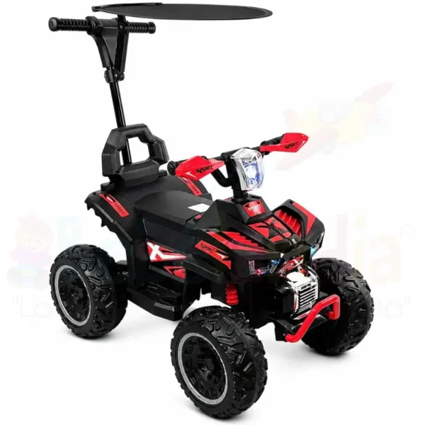 Carro de Empuje 3 en 1 Recargable