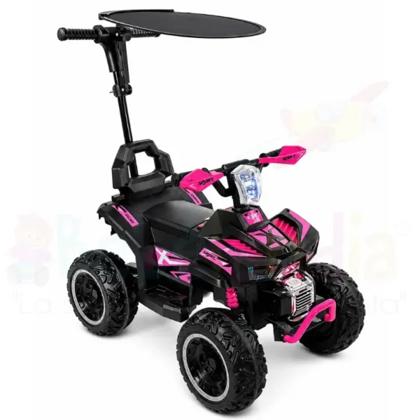 Carro de Empuje 3 en 1 Recargable
