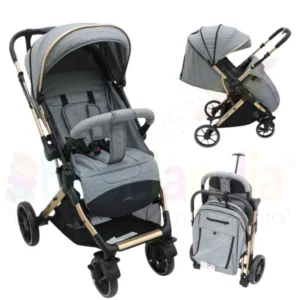 Coche Reversible
