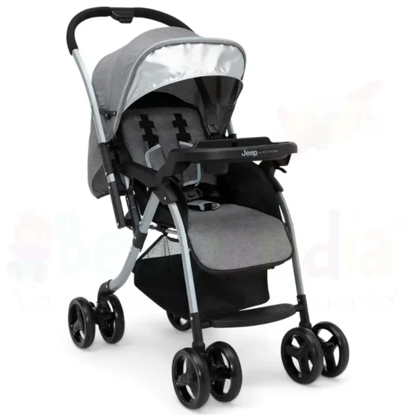 Coche Reversible