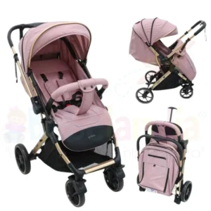 Coche Reversible