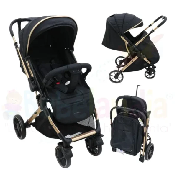 Coche Reversible
