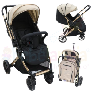 Coche Reversible