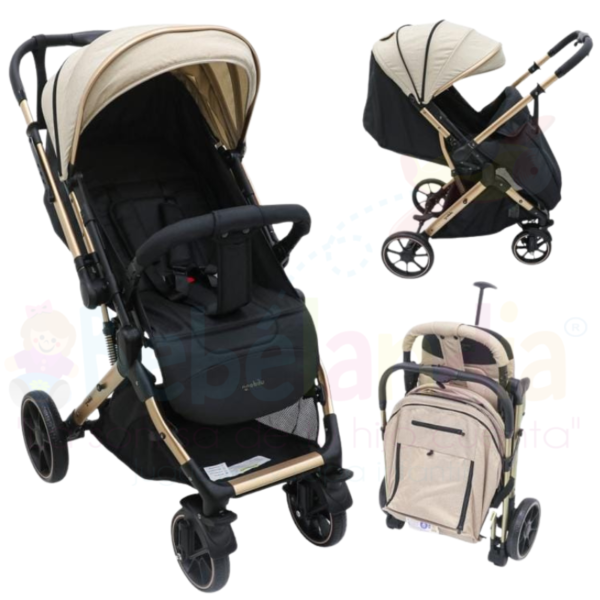 Coche Reversible